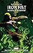 Immortal Iron Fist Vol. 3: Book of the Iron Fist