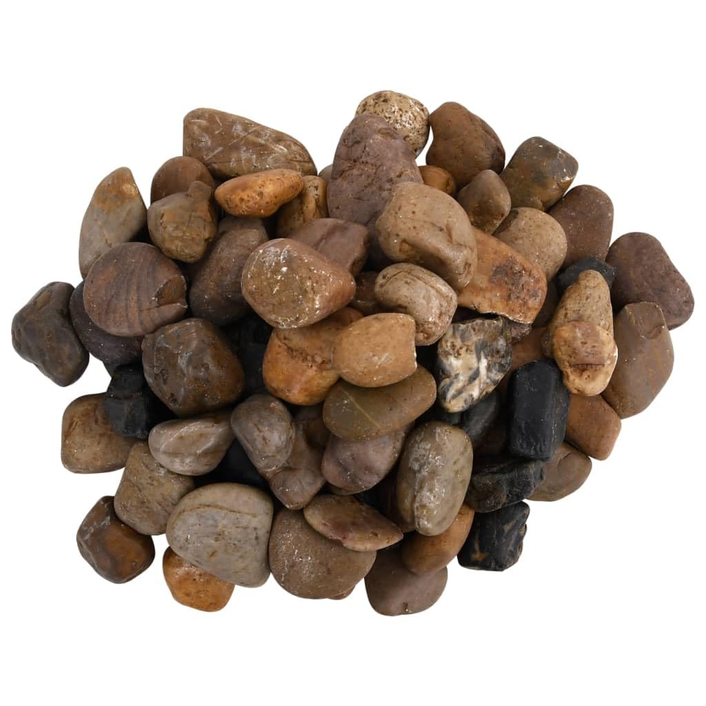 Galets polis 10 kg Multicolore 2-5 cm pour jardin