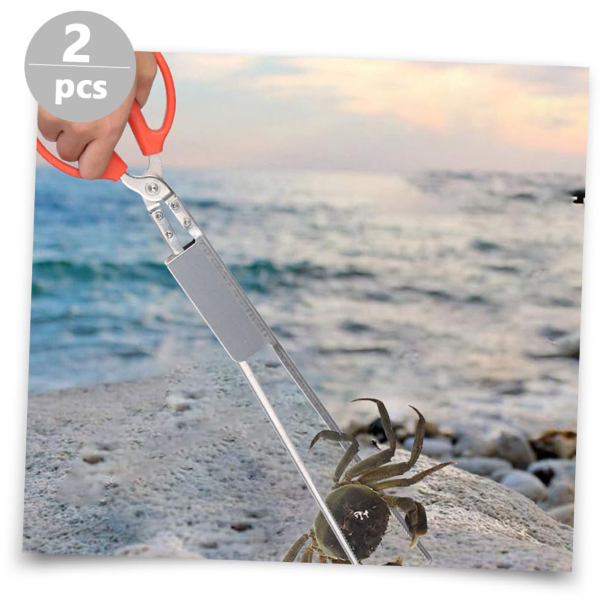 Gatuida Pinza per Granchio Antiscivolo e Morsetto Multifunzione per Anguille in Acciaio Inox 52 Cm, Strumento Robusto per Cucina e Pulizia, Set 2 Pezzi Testa Dritta e Curva, per Frutti