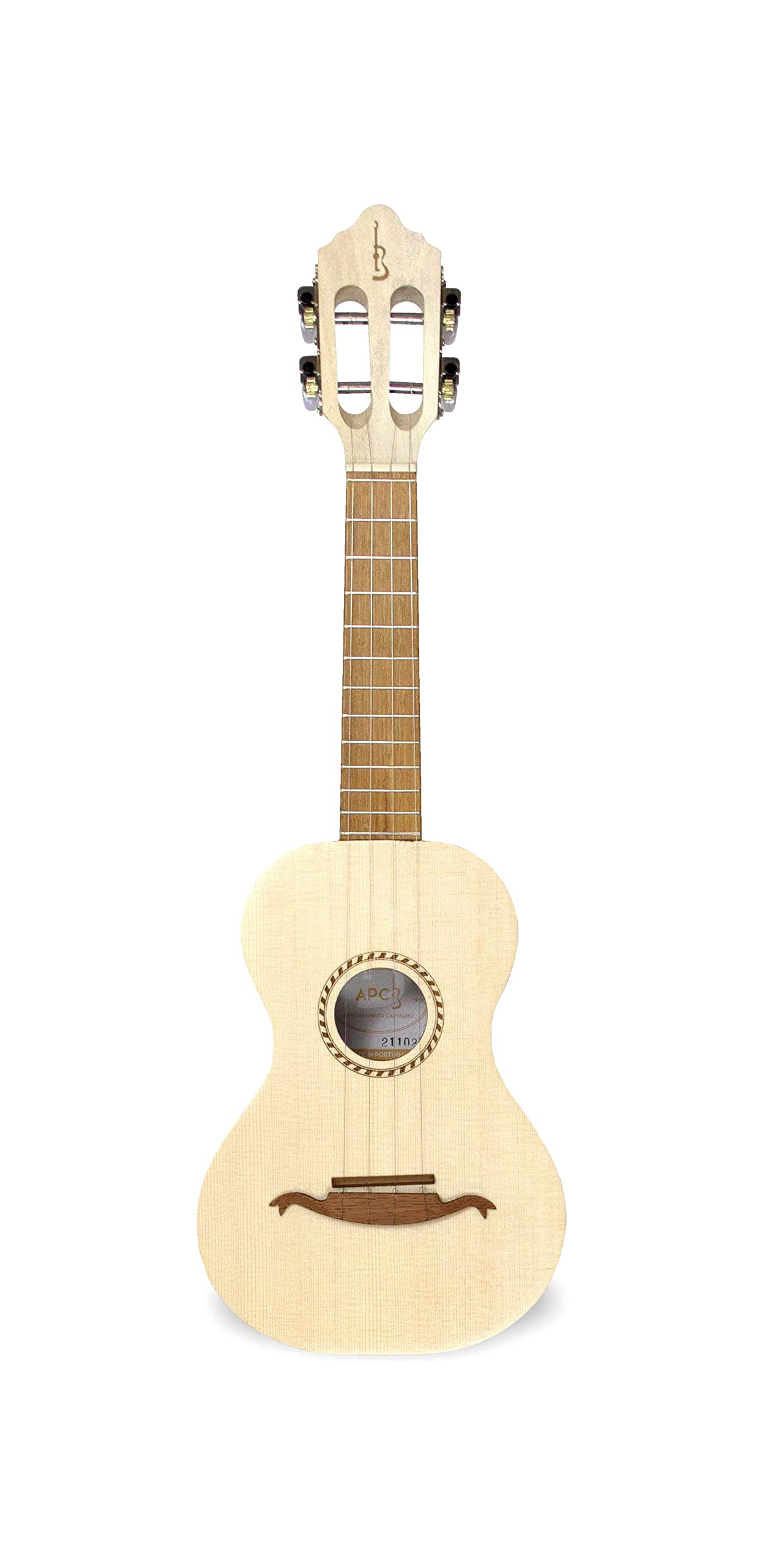 APC Instruments 100 - Instrumento de cuerdas