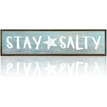 Beach Decoration, Funny Summer Decor Sign, Wall Decors Art, Ocean Coastal Home Decor for Living Room, Bathroom, Beach House Decoration, Framed Wooden Box Sign, Stay Salty Signs 17.8x4x1.2 inches 25