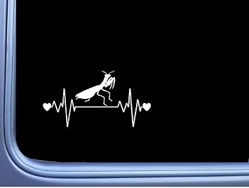Praying Mantis Lifeline L463 8" Sticker heartbeat decal insect