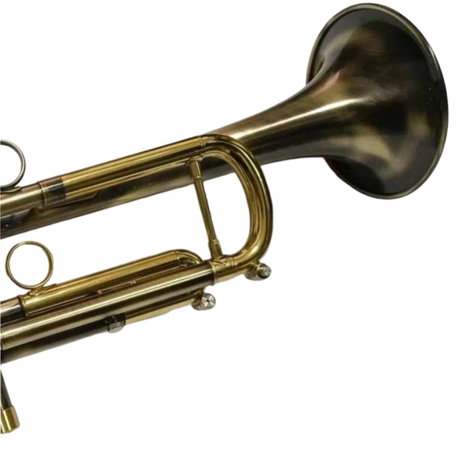 Trumpet Trompeta en si bemol principiante