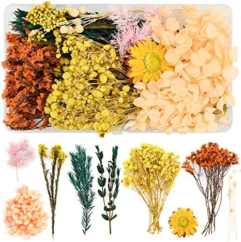 Natürlich Getrocknete Blumen & Blätter – Gepresst, Für Harz, Kerzen, Deko, DIY (lila, Rosa, Weiß)