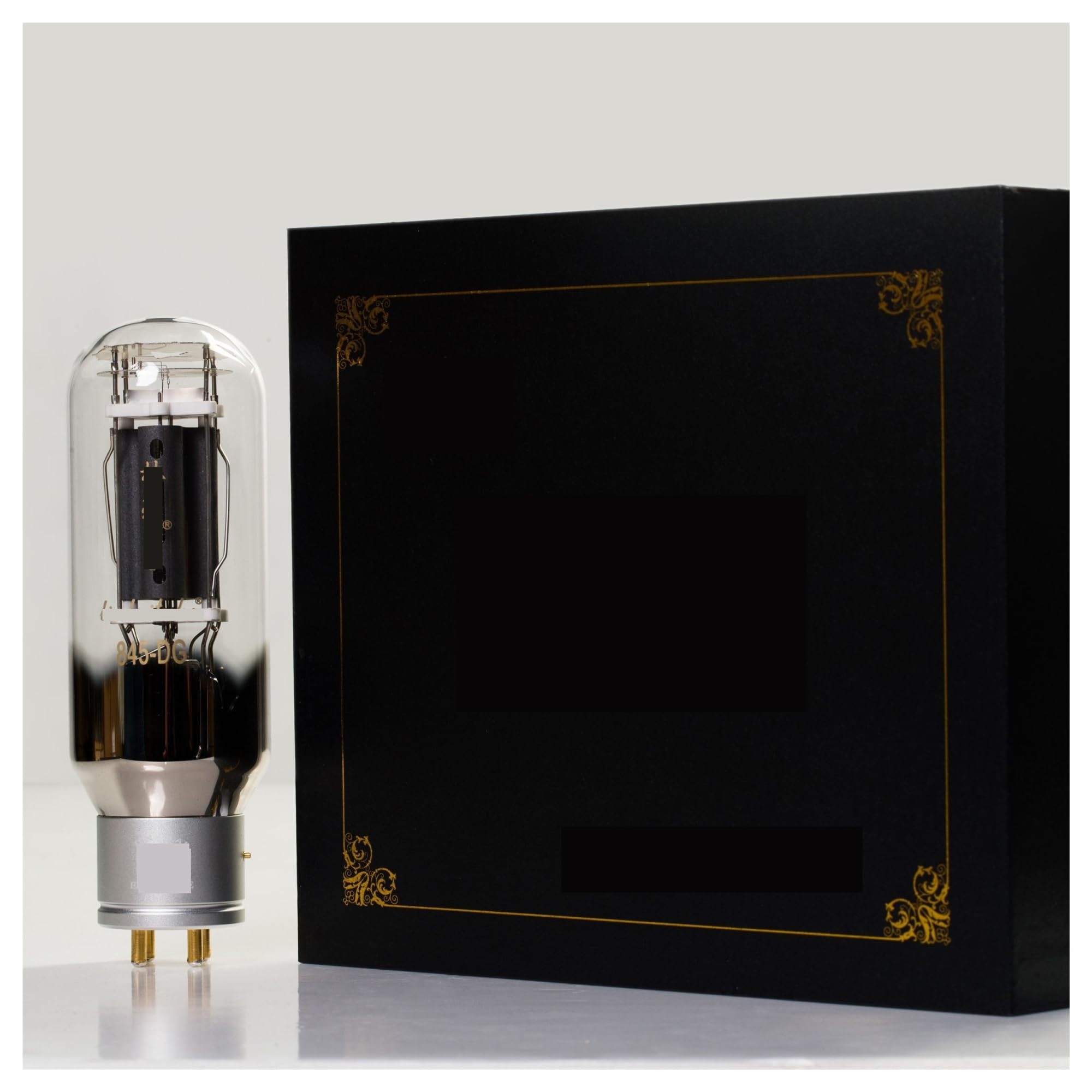 845-DG 845DG 845 tube audio upgrade 845 tube audio amplifier(2 pcs)