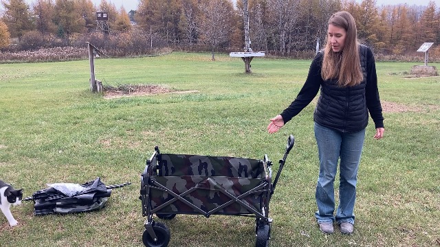 tent  Amazon.com: 沙灘車推車可折疊旅行推車適用於戶外露營附簷篷