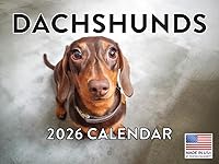 Vista 72 de Calendario de cachorro Golden Retriever 2027 mensual de pared de 12 meses