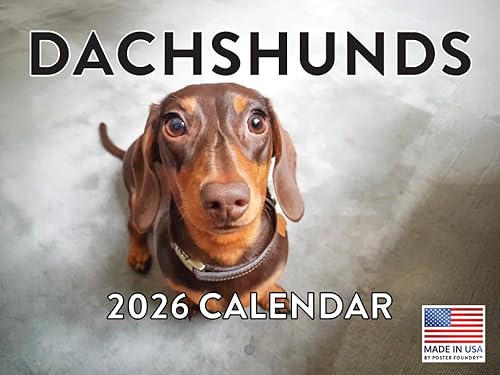 Vista 323 de Calendario Goldendoodle 2026 Golden Doodle mensual de pared calendario de 12 meses Fabricado en Estados Unidos