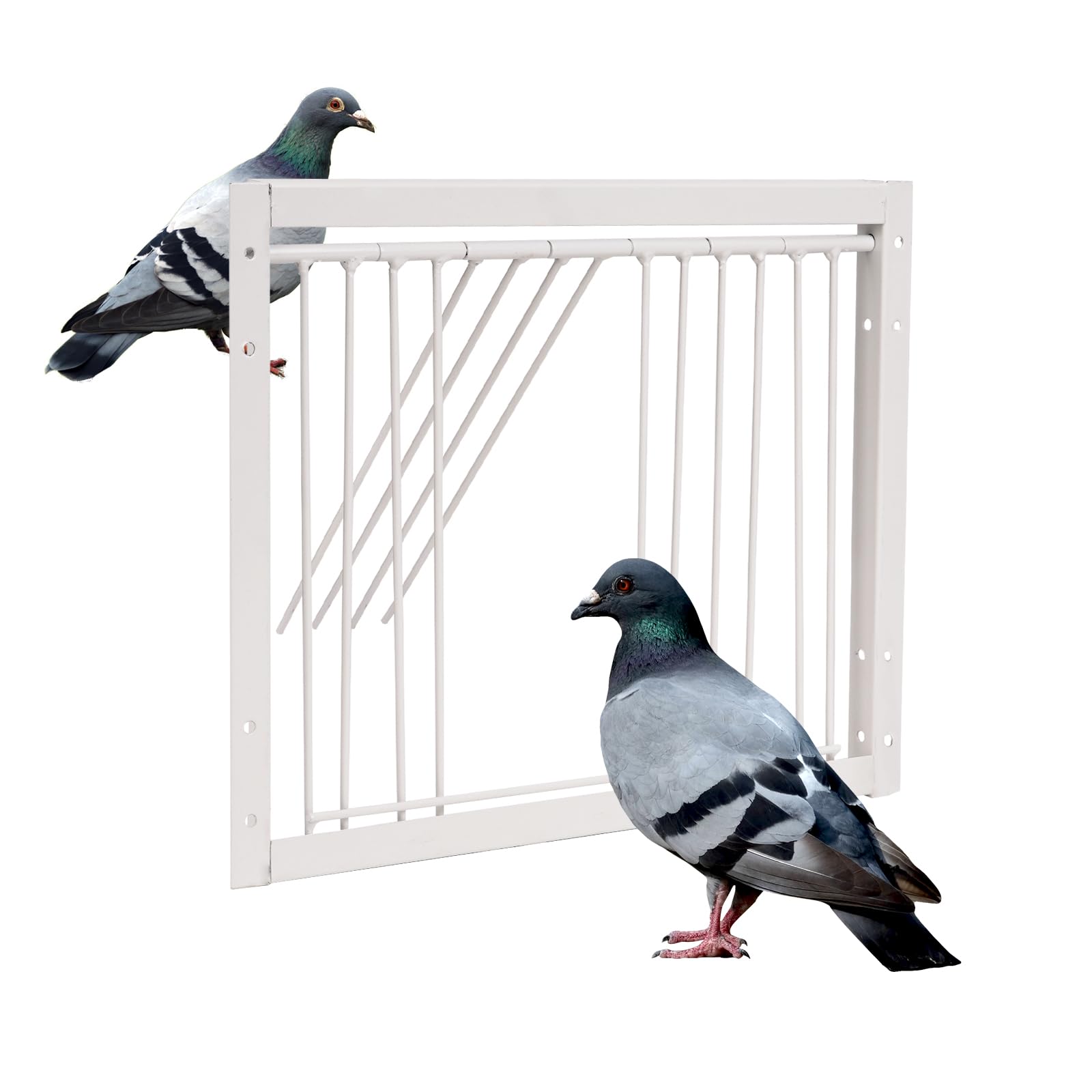 Bird Cage T-Trap Door Pigeon Entrance Door Pet Birds Disposable Window Door Bird Cage Door for Racing Pigeon House Entrance Door Iron Parrot Entrance Door Bird Breeding Accessories 33 x 26 cm