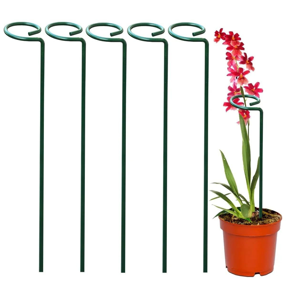 See full amazon price history chart for Yunideq Homes 18 inch Metal Sticks (Pack of 5) for Plant stem Support Yunideq Homes 18 inch Metal Sticks (Pack of 5) for Plant stem Support (B0CX94XBYG) Amazon Price History, Amazon Price Tracker