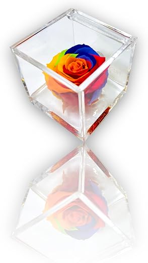 Premium Rose – Stabilized Pink Cube 6 cm with Micro Bubble Base – Stabilized Eternal Rose Made in Italy – Idea for Creative People, Young People and Children – Multicolour A 1806