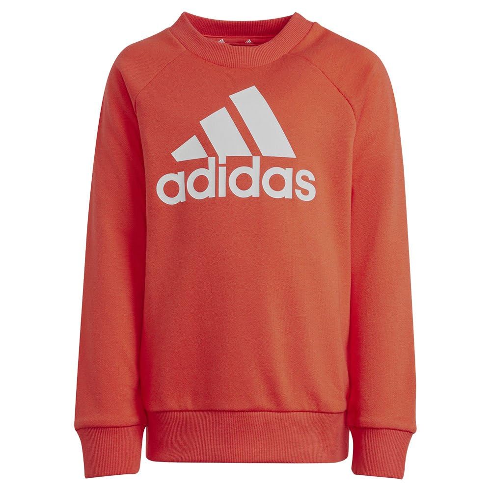 adidas Essentials Logo French Terry Jogger Set Chándal Unisex niños