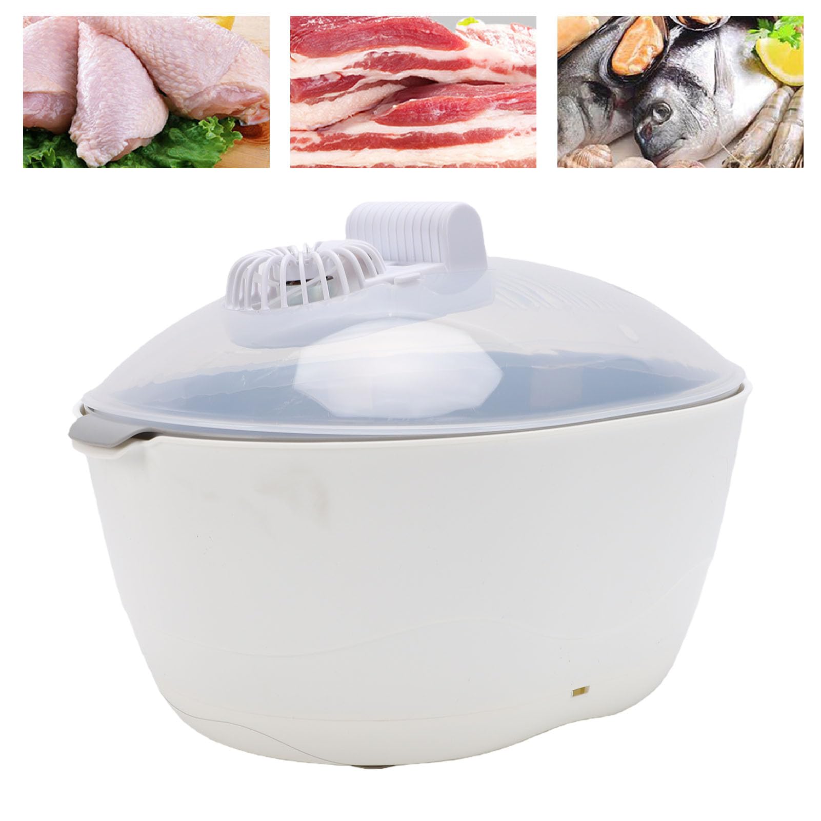 Asixxsix Vassoio Scongelamento Elettrico per Carne Congelata, Plastica