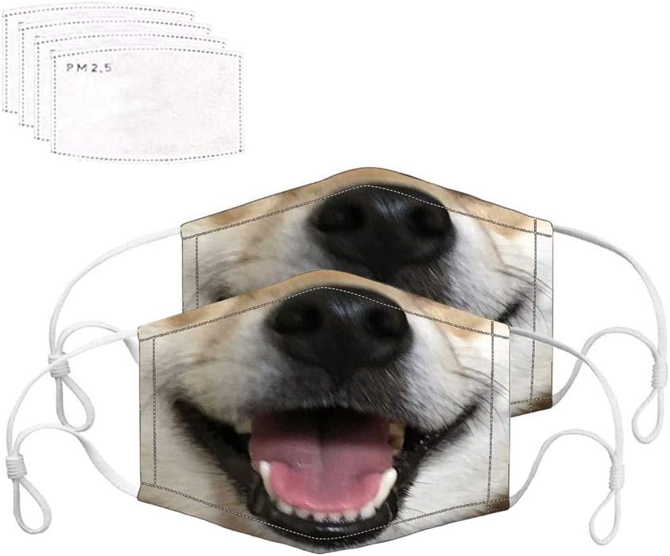 gas di scarico per cani