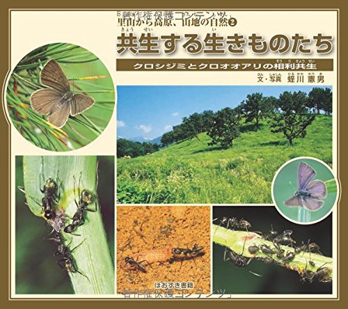 共生する生きものたち クロシジミとクロオオアリの相利共生 里山から高原 山地の自然 憲男 蛭川 本 通販 Amazon