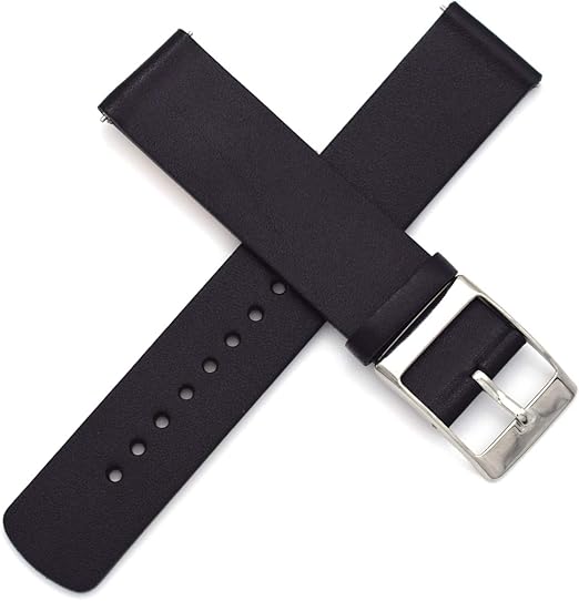 skagen strap 20mm