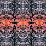 immagine banner Amazon