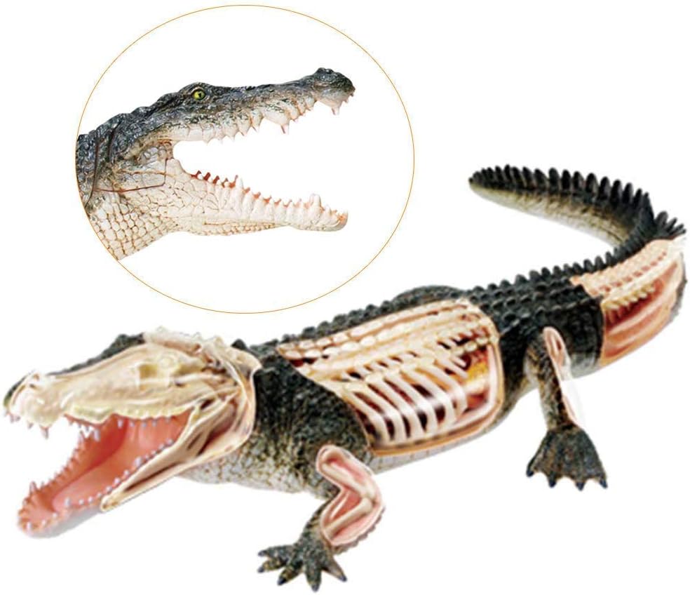 おのちゅうこう 詩画集 望郷 石坂のぶ子 - KODERIN-AKATSUKI.NET