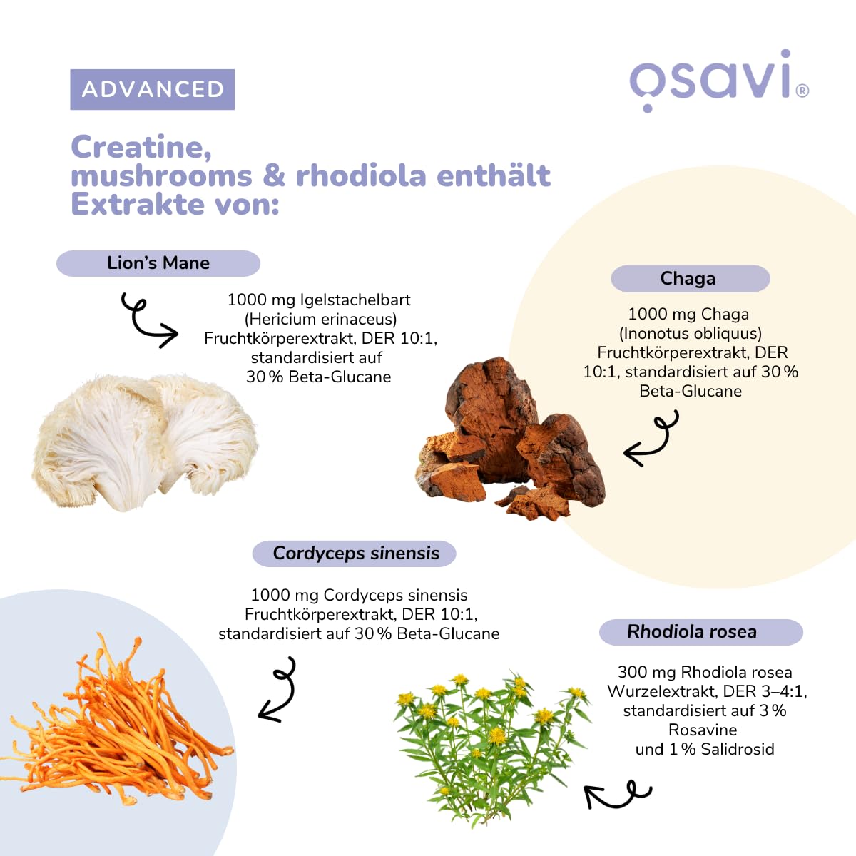 Osavi Kreatin + Pilze & Rhodiola – 300 g Pulver | Kirsche & Erdbeere | Mit Löwenmähne, Cordyceps & Chaga | Steigert die Leistung bei kurzen, intensiven Belastungen | Vitamin B6, B5 & Zink