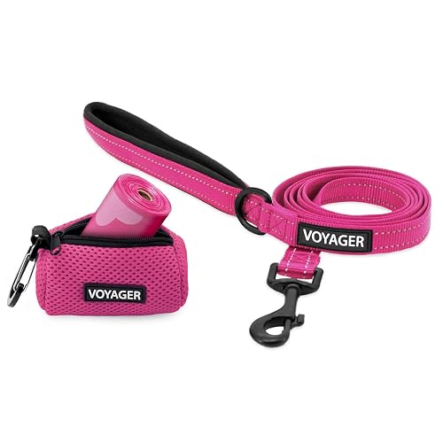 Voyager - Correa Reflectante para Perro con Mango de Neopreno y dispensador de Malla Reutilizable para Bolsas…