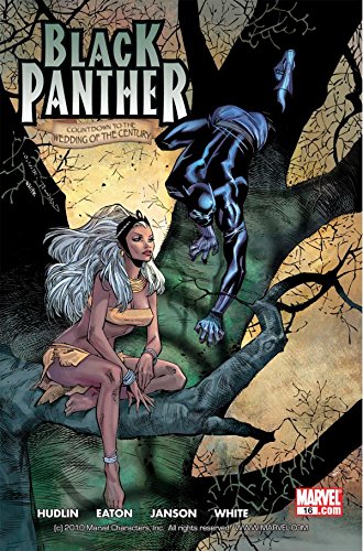 Black Panther (2005-2008) #16 (English Edition) - Hudlin, Reginald