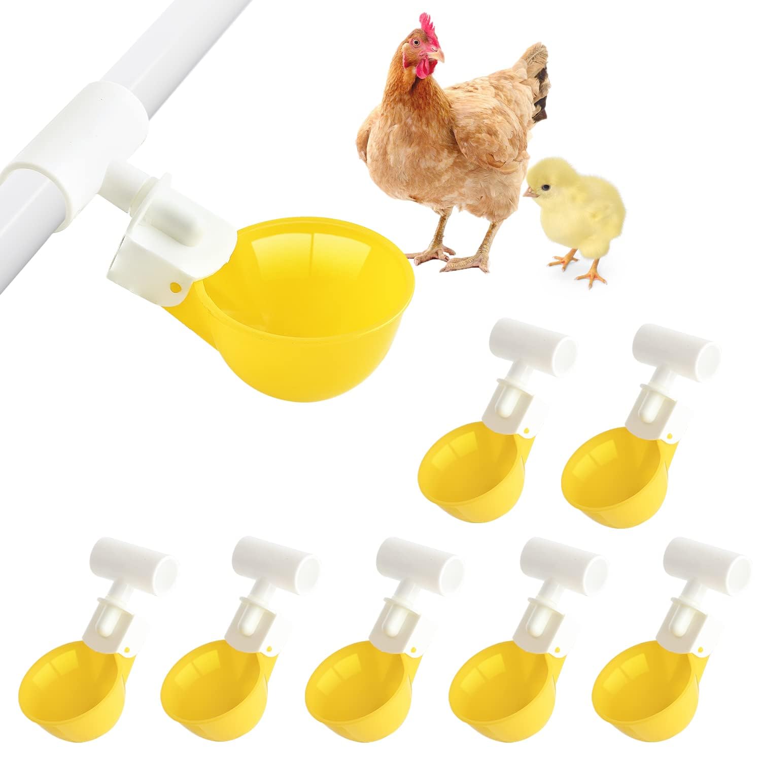 Abreuvoir poulet anti-fuite résolvant les problèmes de litière humide avec gobelets automatiques