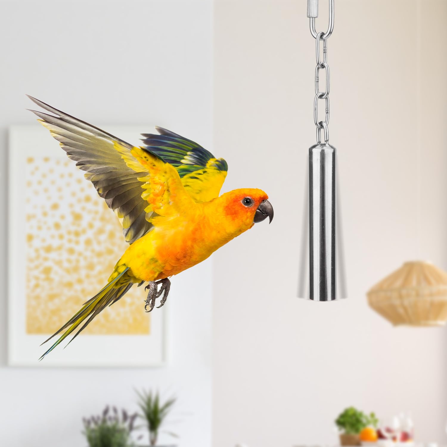 Photo inspiration: Visual Reference: Large Parrot Paradmas Parakeet Cage Accessories 11Pcs Bird Toy Swing