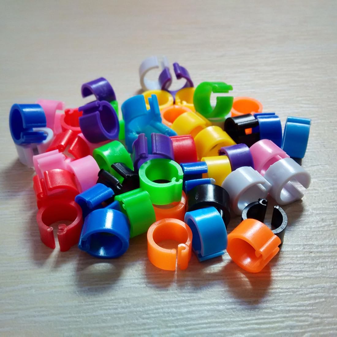 100 Anelli colorati in plastica da 8 mm per gambe di piccioni senza riconoscimento baionetta. Disponibili 10 colori, perfetti per viaggiatori e piccioni da compagnia.
