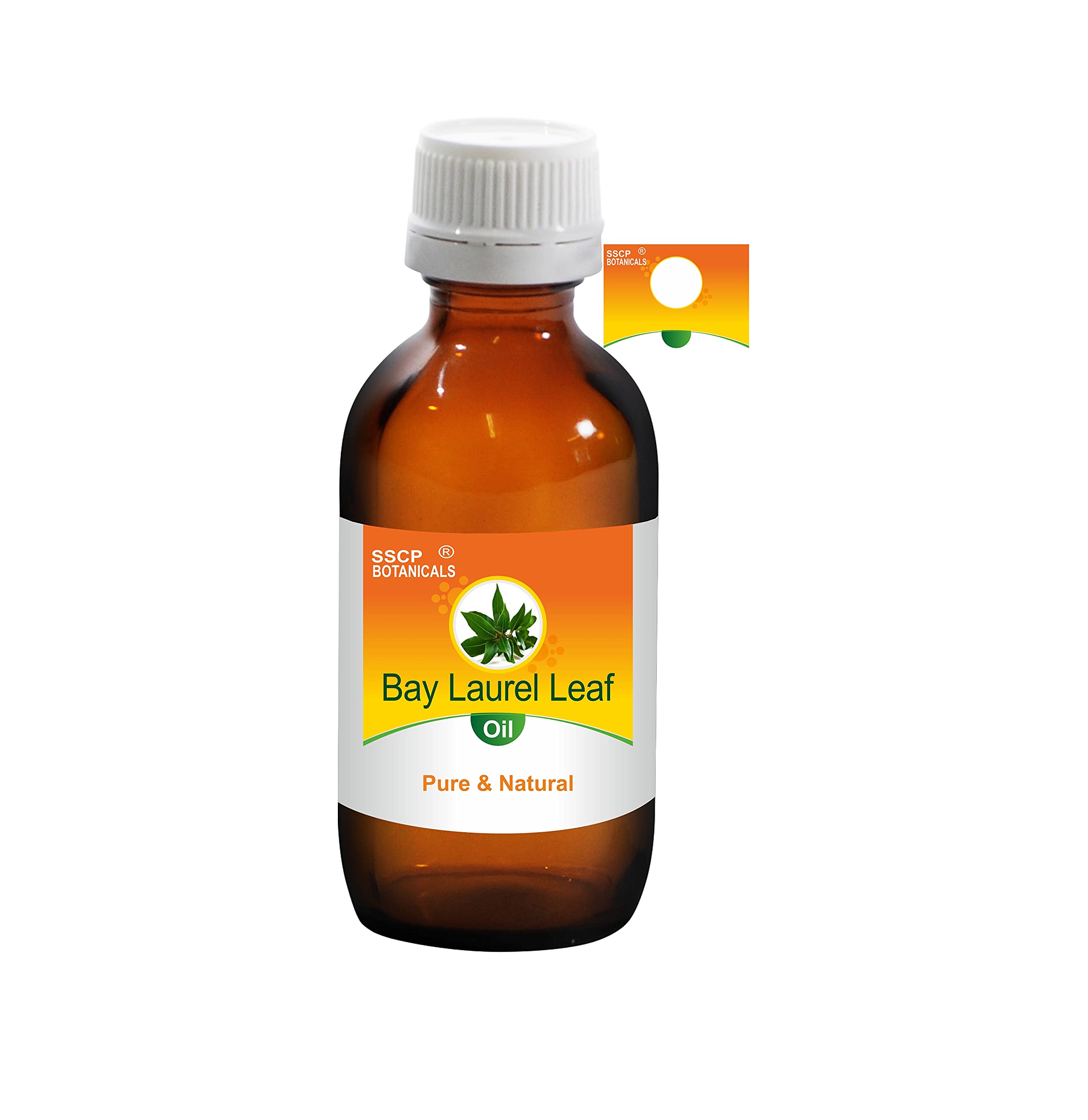 SSCP Botanicals Bay Laurel Leaf Pure & Natural Essential Oil (Laurus nobilis) (50 ml ( 1.70 Oz))