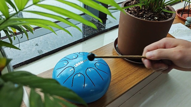 Amazon.com: Steel Tongue Drum 8 Notes 6 Inches Tank Drum