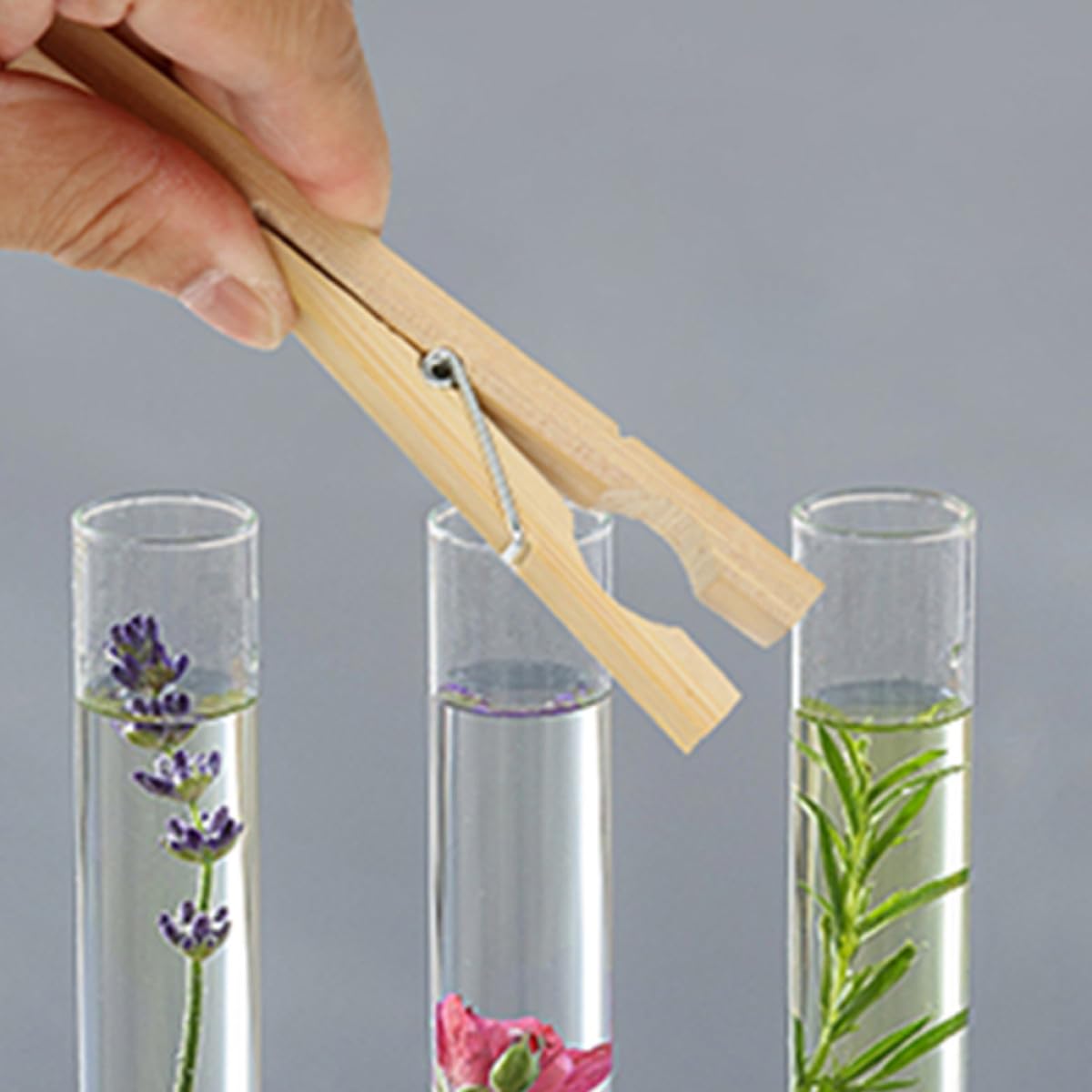 SECFOU 8 Pinces en Bambou pour Tubes à Essais de Laboratoire, Robustes et Fiables, Clips Marron Adaptés aux Expériences en Laboratoire Scientifique