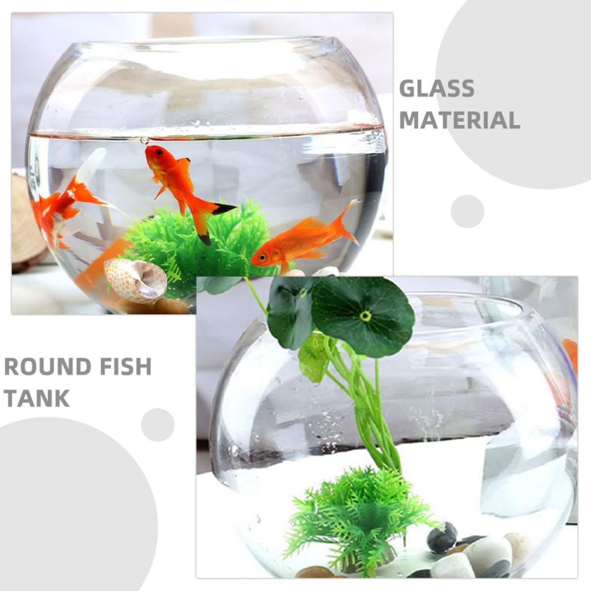 Glass Fish Bowl with Minimalist Design for Small Fish and Hydroponic Plants for Office and Living Room Decor