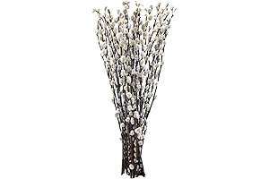 Willow Branches for Vases Tall: 40 Stems 100% Dried Willows Decorations