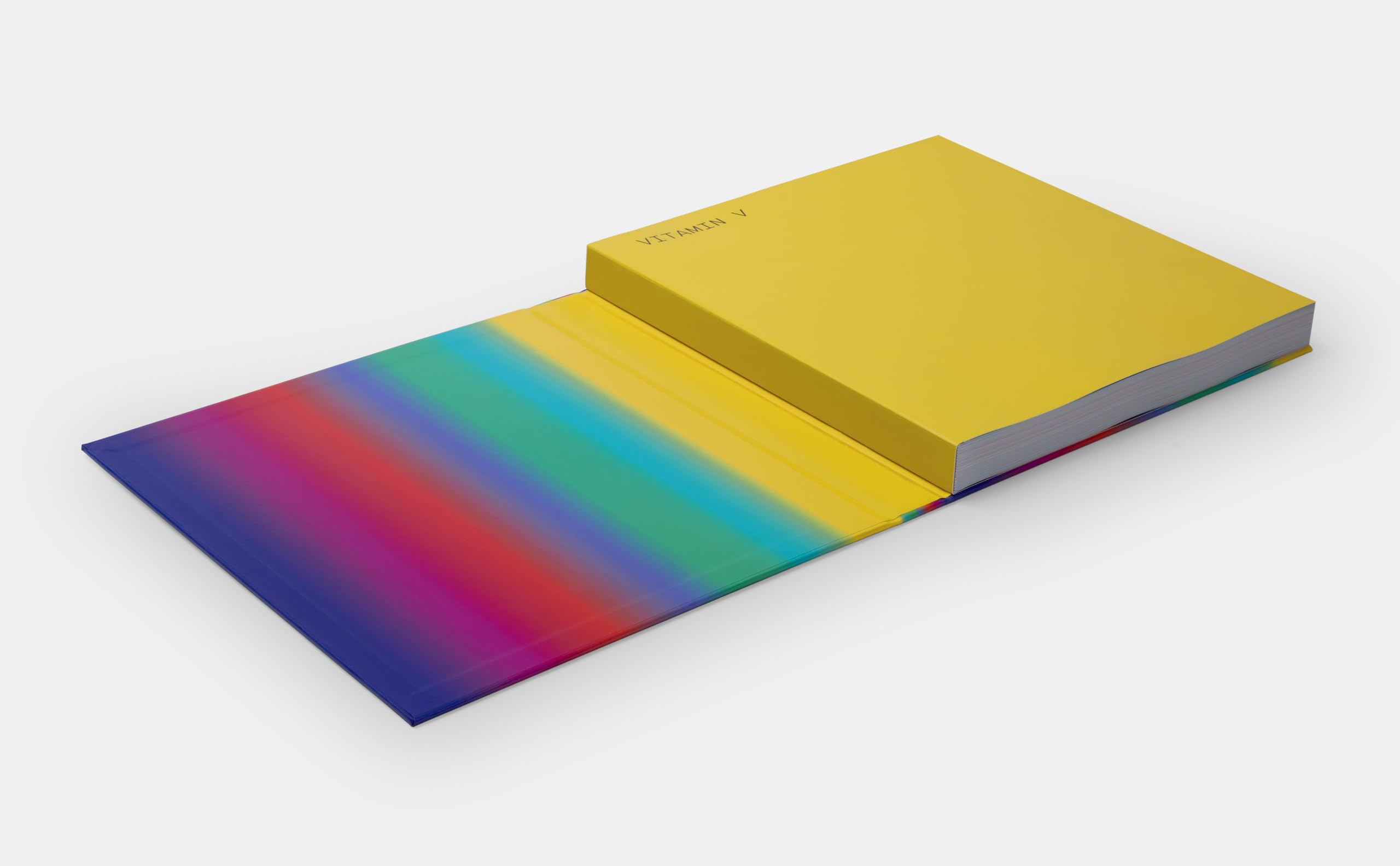Vitamin V: Video and the Moving Image in Contemporary Art