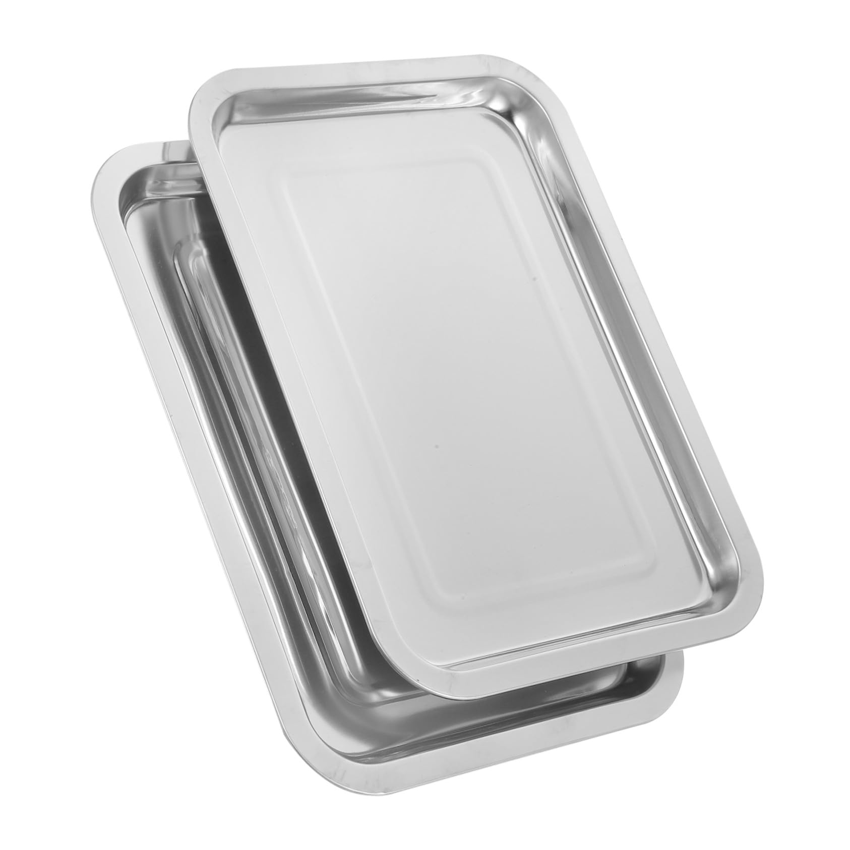 Plateau Argenté en Acier Inoxydable pour Tatouage, Lot de 2, Résistant la Déformation, Facile à Nettoyer, Usage Quotidien
