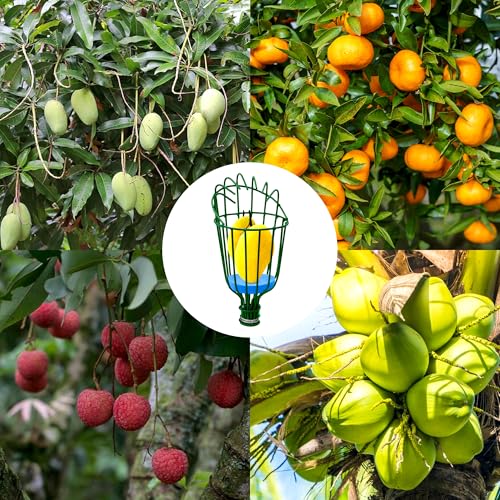Image of Urban Plant Mango Plucker | Metal Fruit Picker Head | Green | with Sponge | Attaches to Any 1-Inch Pole | Rust-Proof Powder-Coated Iron (Pole Not Included)