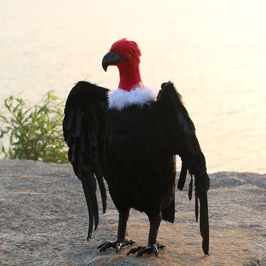 Amazon.co.jp: Generic 18 インイン人工鳥現実的なタカ剥製フィギュ