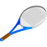 raquette pro tennis de table Offline access to articles with links to full site