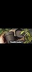 Review Image by *Candid Candor* *Candid Candor*