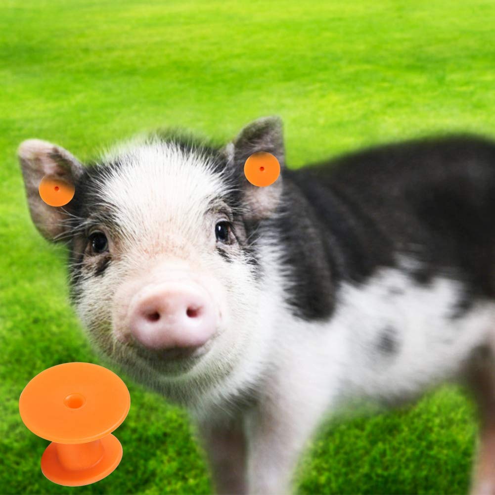 Numero di Bestiame Marchio Auricolare Etichetta per Suini Mucche Ovini Identificazione degli Animali Allevamento Vaccinazione Agricoltura (Marchio auricolare rotondo arancione