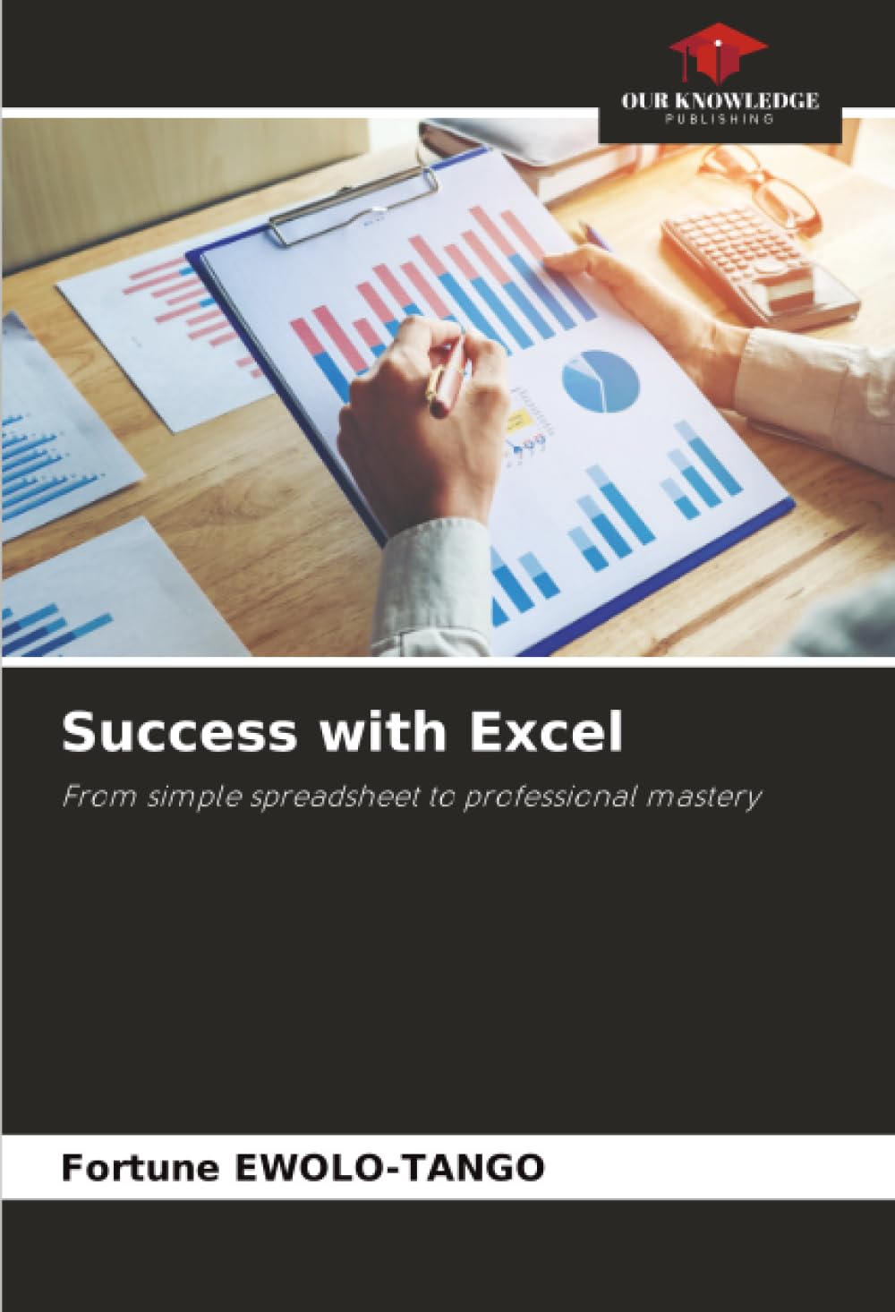 Success with Excel: From simple spreadsheet to professional mastery
