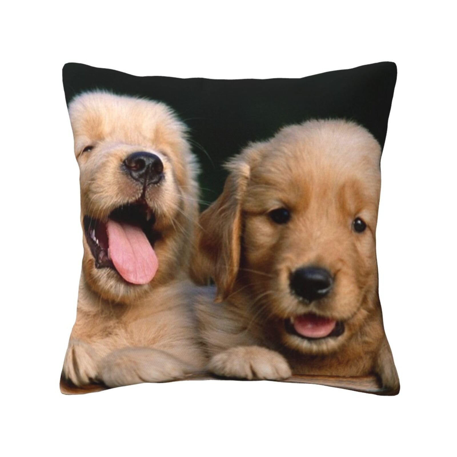 WESTCH Golden Retriever Dogs Puppies Pets All Seasons Universal Throw pillow cover - Soft Square Cushion With Zipper Closure Bedroom Throw pillow cover Living Room Accent Pillow Sofa Fabric Pillows