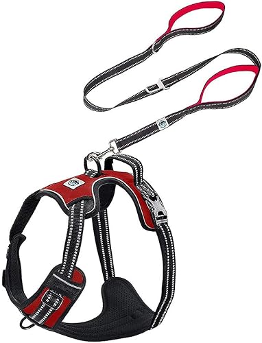 Elbert Mountain Combo de arnés y correa para perro a juego, chaleco ajustable sin tirones, sin estrangulamiento, correa de perro de dos asas de 5