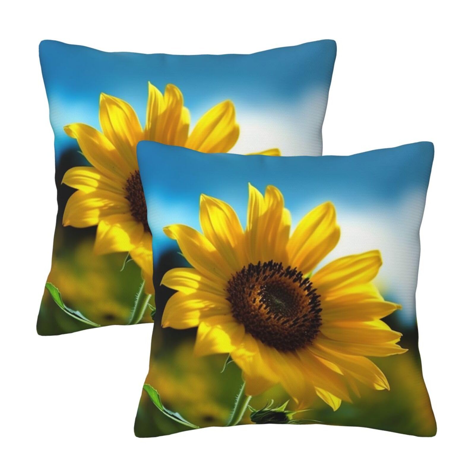 Beautiful Sunflower Throw Pillow Cases 2 Pack Square Pillowcases Soft Pillow Protectors for Couch Livingroom Sofa Bed Office Car,45x45 CM