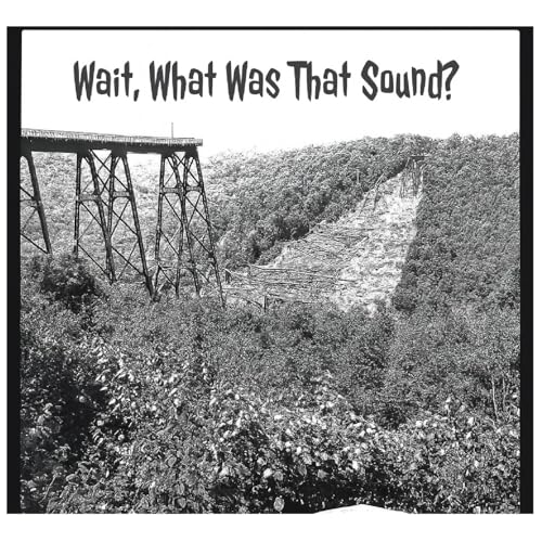 Wait What Was That Sound? cover art