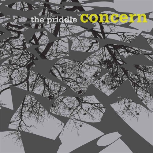 PRIDDLE CONCERN - PRIDDLE CONCERN [Audio CD] PRIDDLE CONCERN