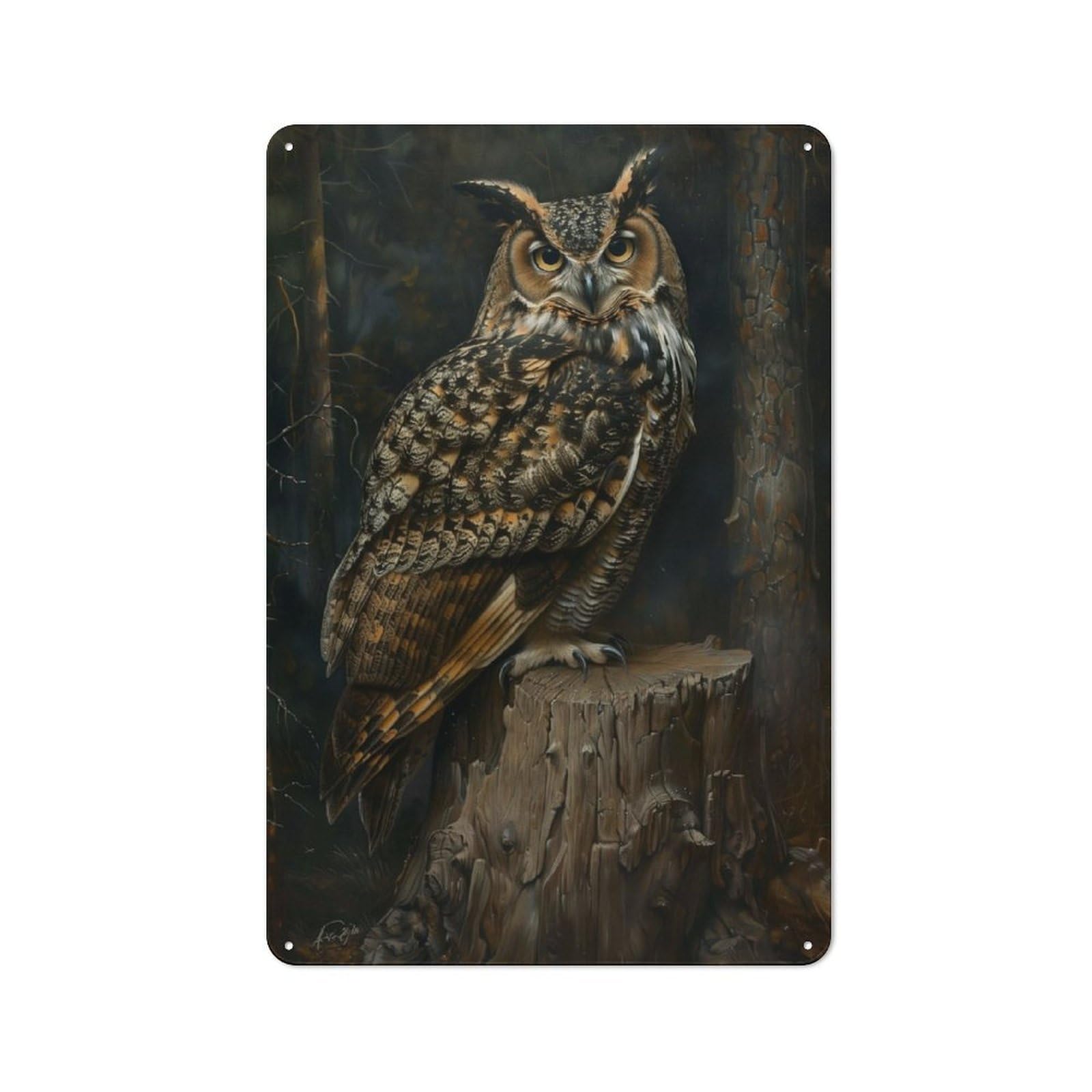 Junmoney Magical Cute Owl Bird Tin Wall Plaque 30X20cm With For Home Bar Wall, For Hosts Who Enjoy Retro Interiors