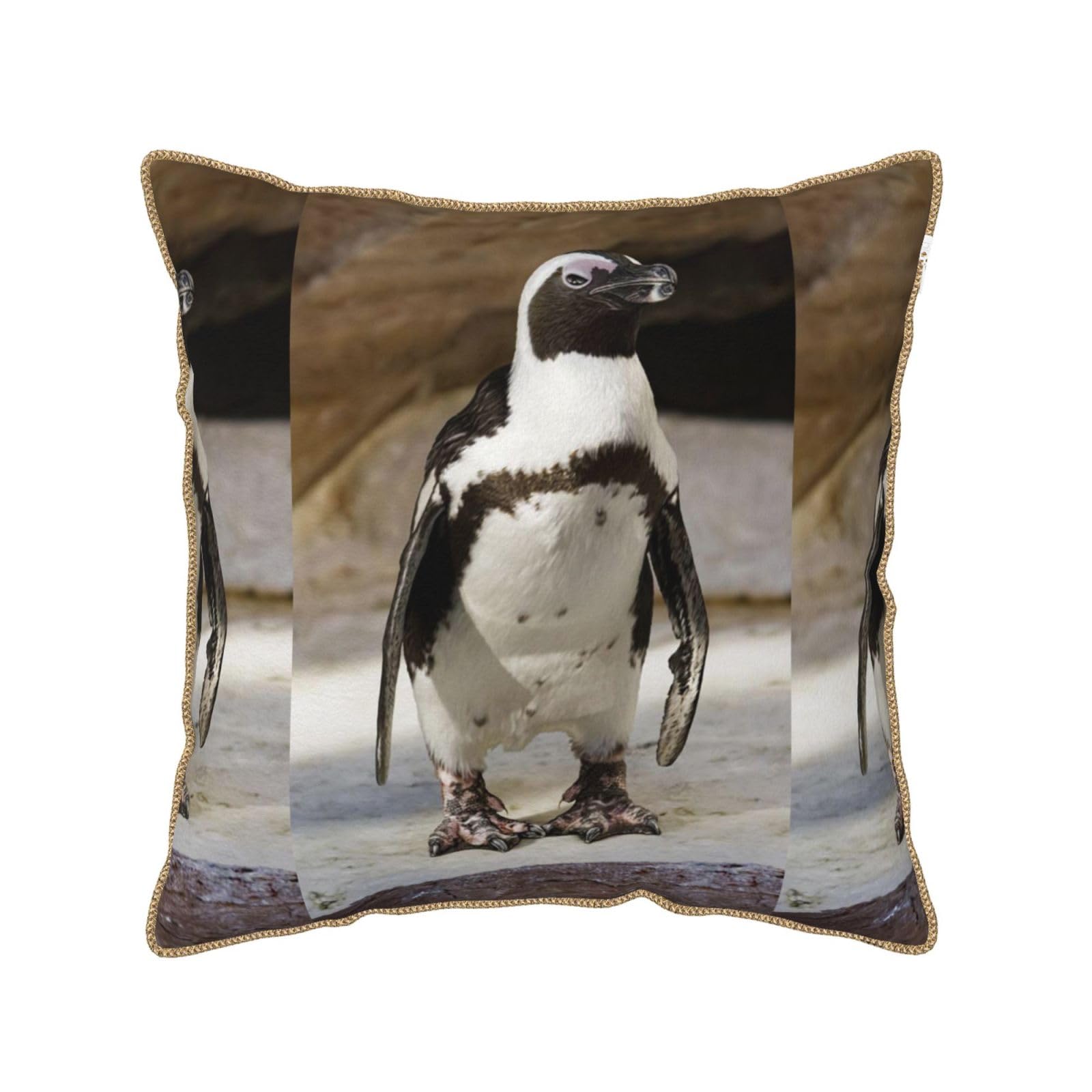 Housse de coussin pingouin africain en velours doux et finitions premium pour salon