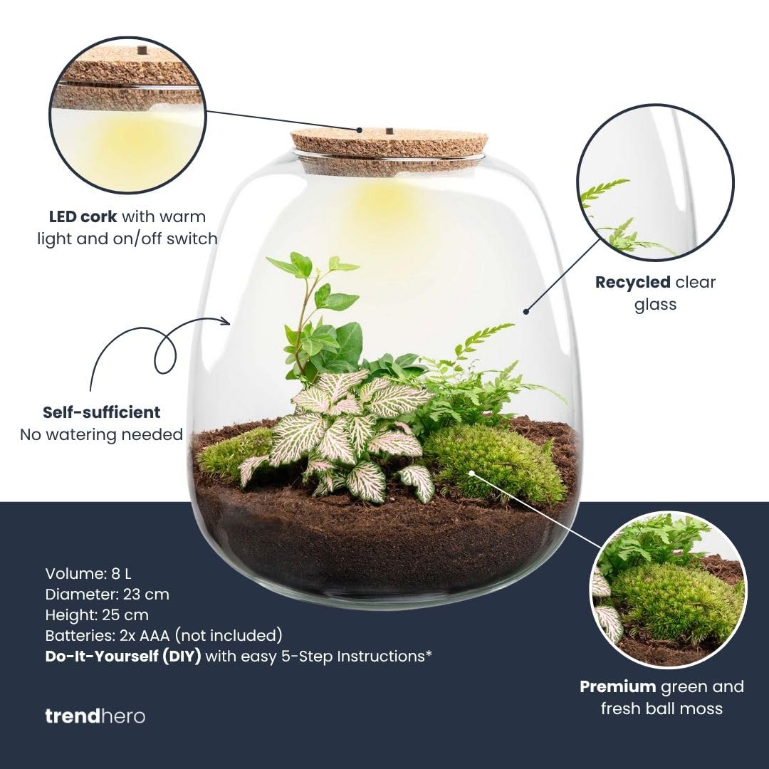 urbanjngl - Emma - Bonsai Red - Flaschengarten mit Licht - DIY Terrarium mit Pflanzen im Glas - Ø 23 cm ↑ 25 cm