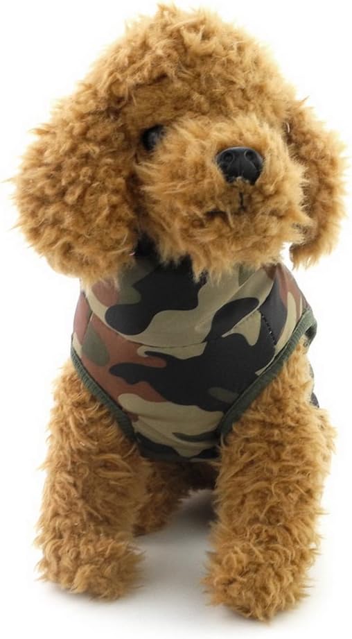 61AKh6JqtYL. AC SL1004